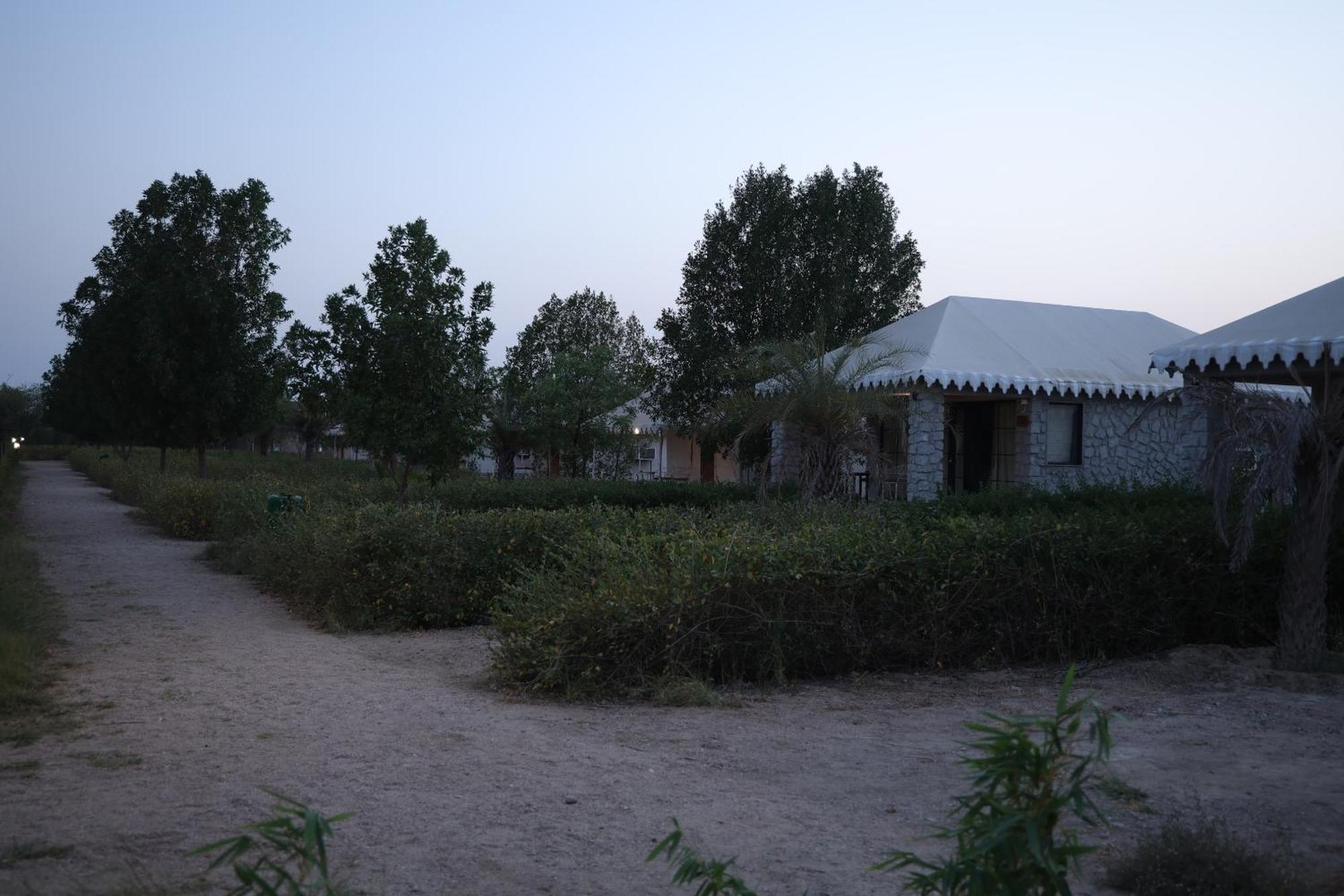 Hotel Jawai Bera Leopard Camp Extérieur photo