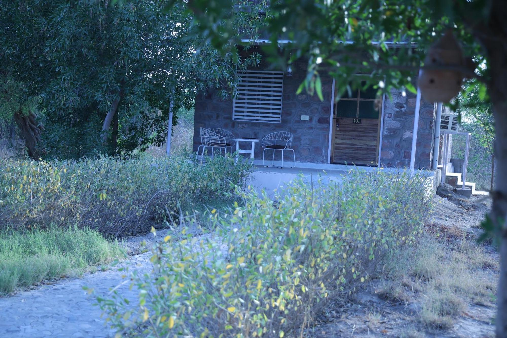 Hotel Jawai Bera Leopard Camp Extérieur photo