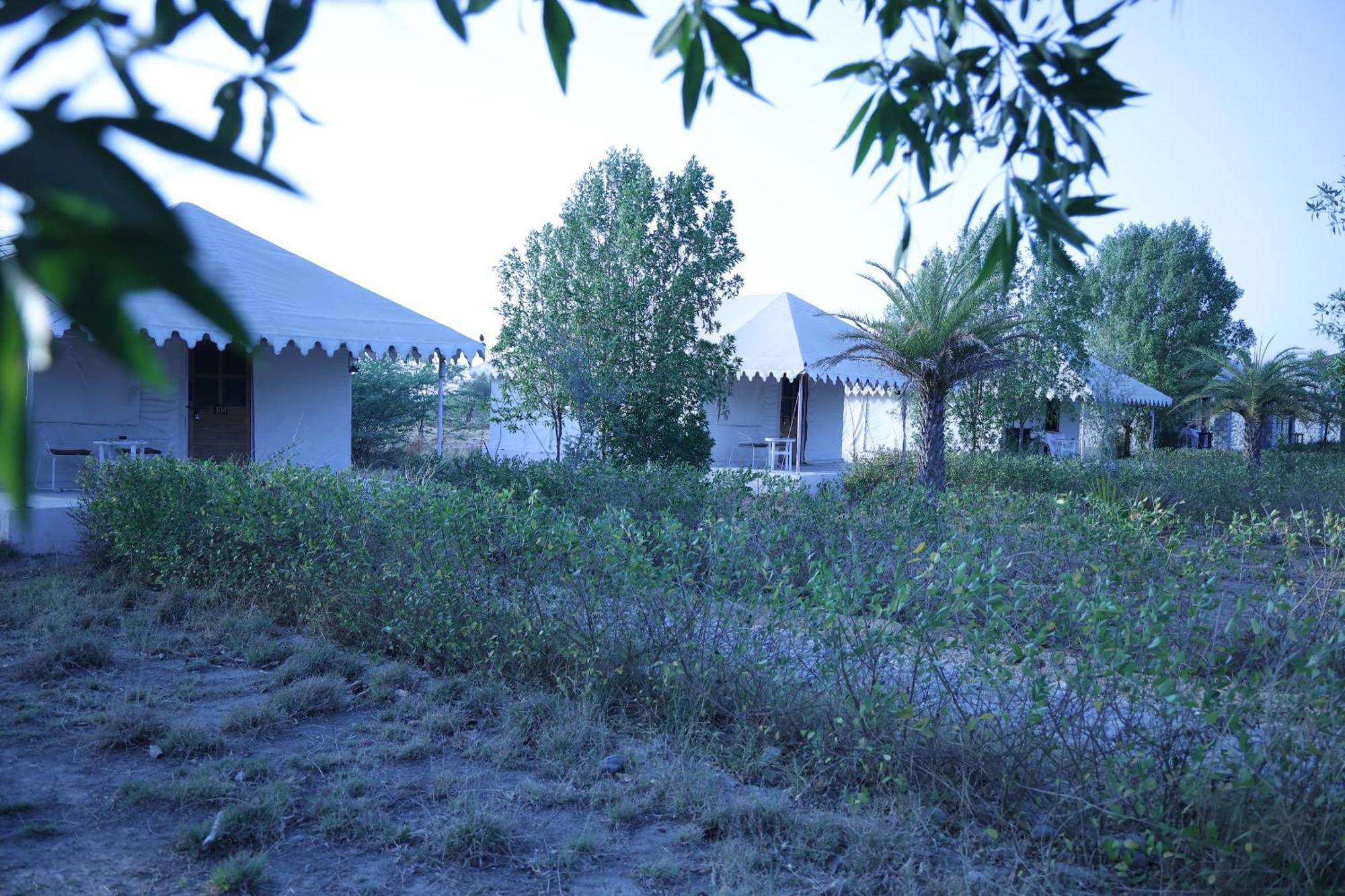 Hotel Jawai Bera Leopard Camp Extérieur photo