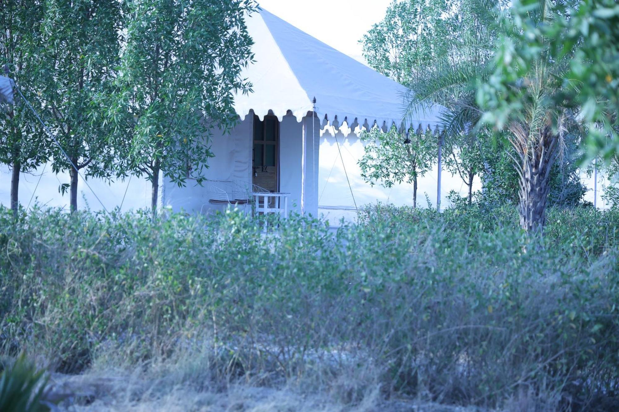 Hotel Jawai Bera Leopard Camp Extérieur photo