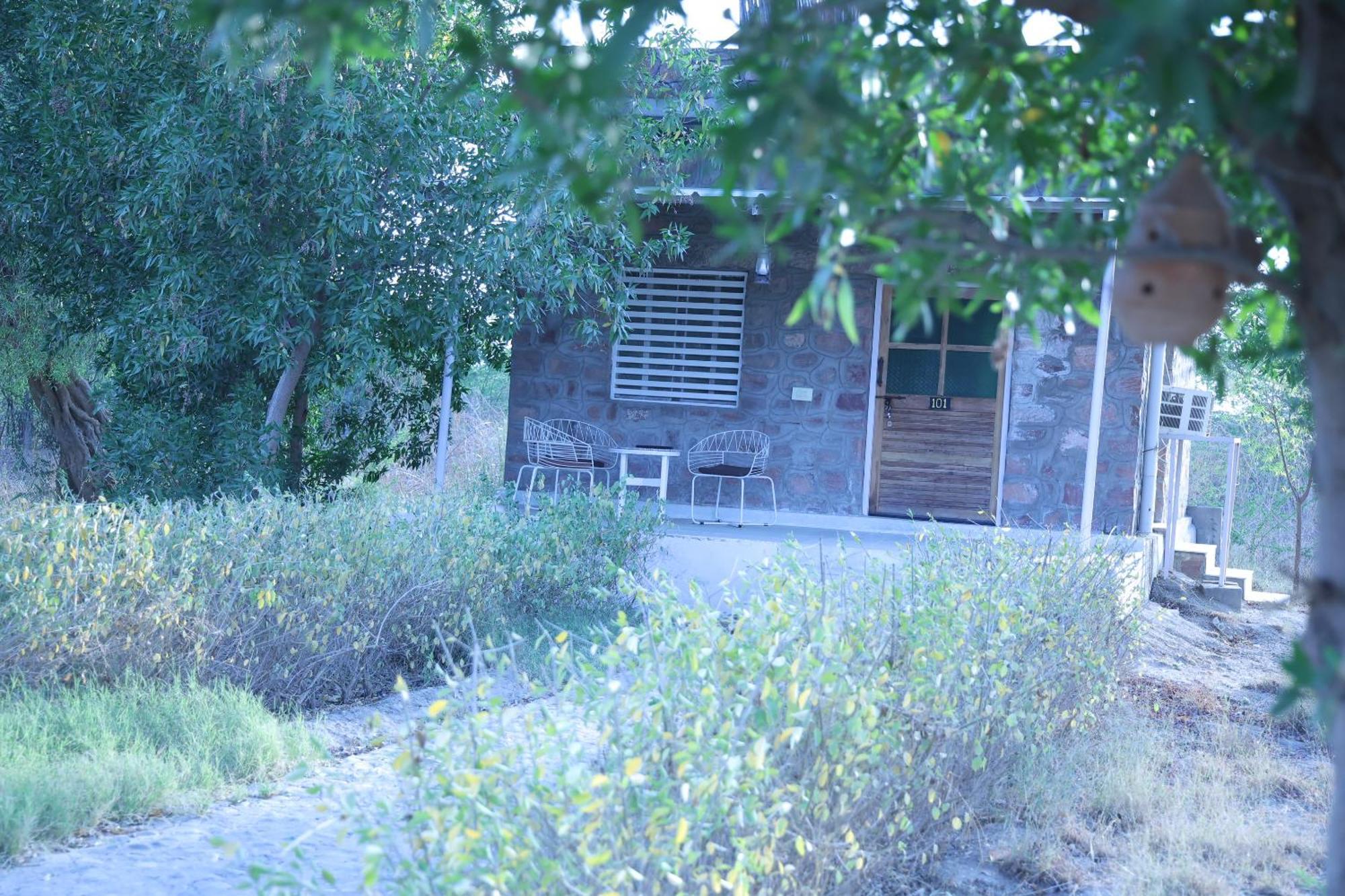Hotel Jawai Bera Leopard Camp Extérieur photo