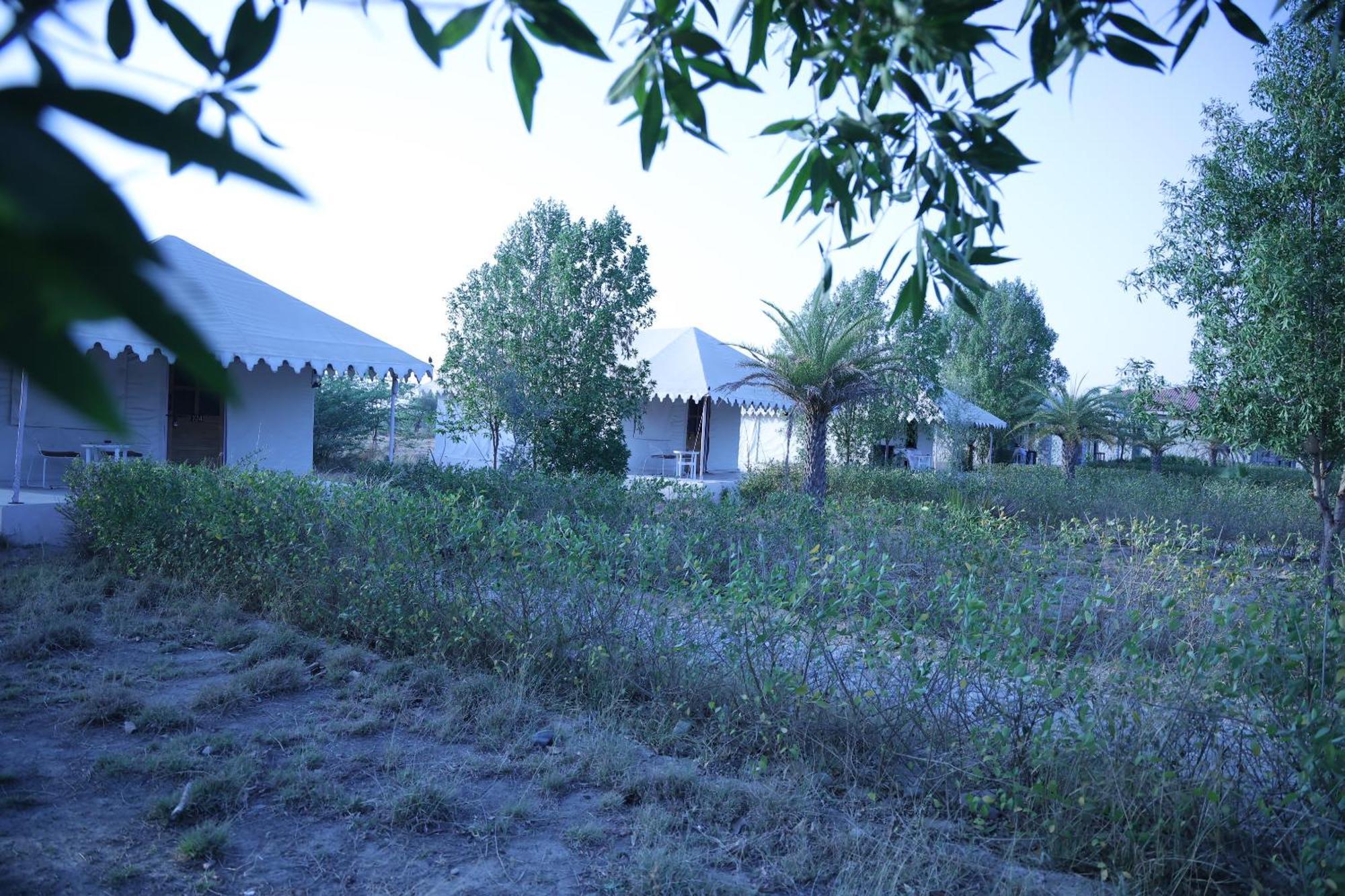 Hotel Jawai Bera Leopard Camp Extérieur photo