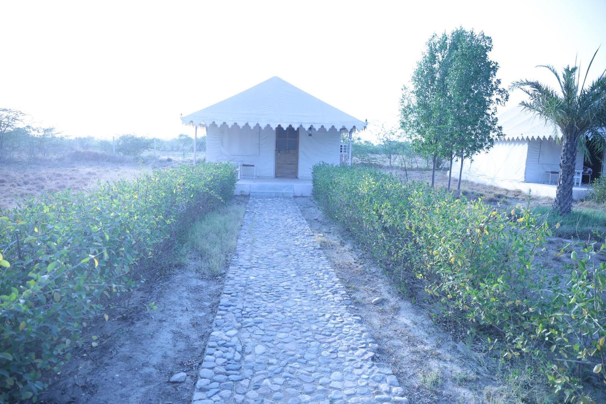 Hotel Jawai Bera Leopard Camp Extérieur photo
